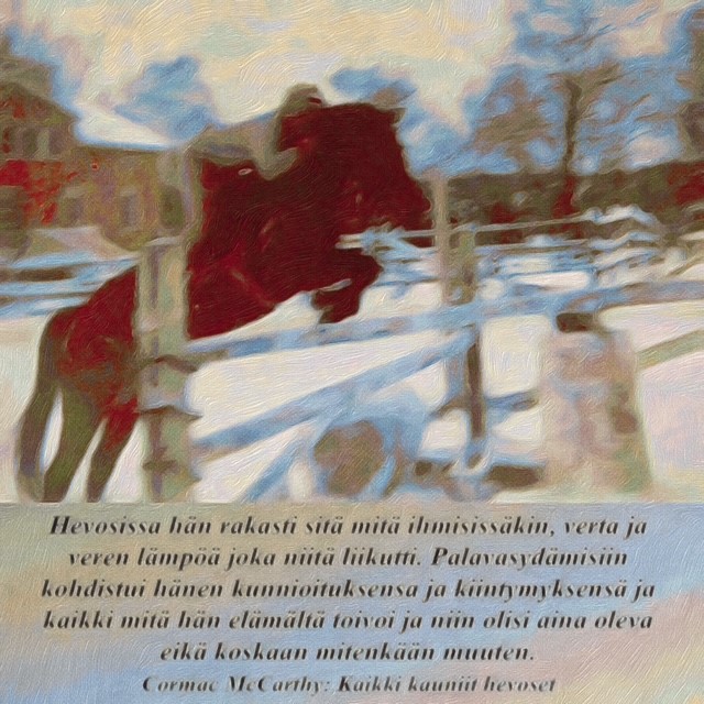 Hevonen esteratsastus kulttuuriblogi vanhaliitto