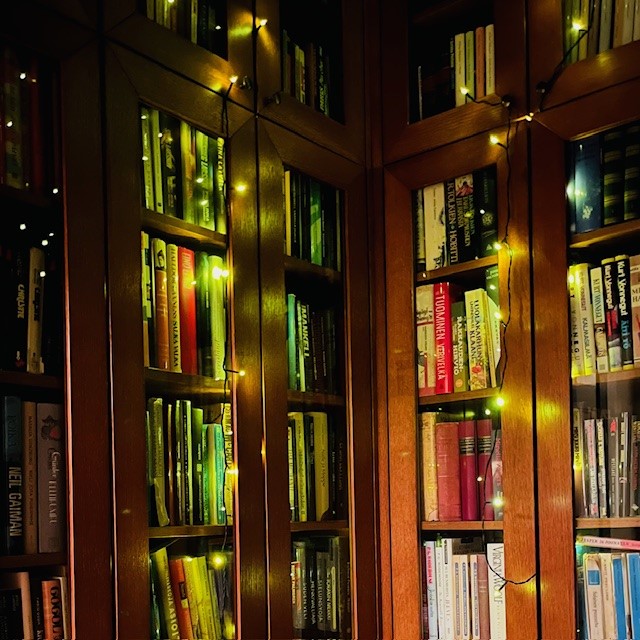 Kirjahylly kirja kulttuuriblogi kirjablogi